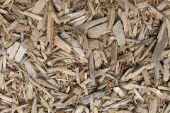 biomass boilers Langtree